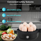 Electric Egg Boiler and Steamer for Perfectly Cooked Eggs