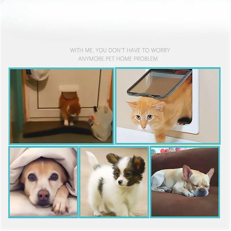 4-Way Locking Cat Flap Door for Small Pets - 5