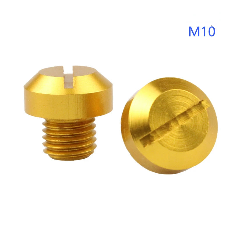 Motorcycle Mirror Hole Plug Screws for M8 and M10 Threads
