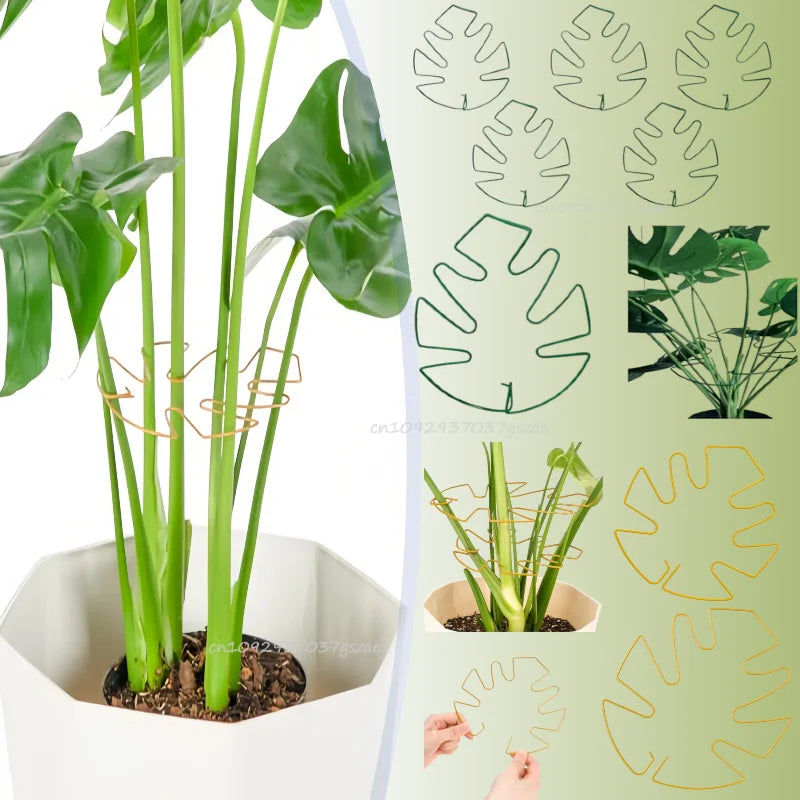Adjustable Metal Plant Support for Climbing Vines and Stems
