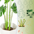 Adjustable Metal Plant Support for Climbing Vines and Stems