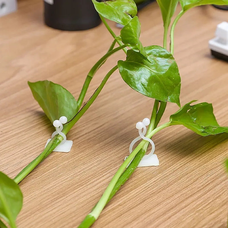 Self-Adhesive Wall Clips for Climbing Plants and Vines - 4