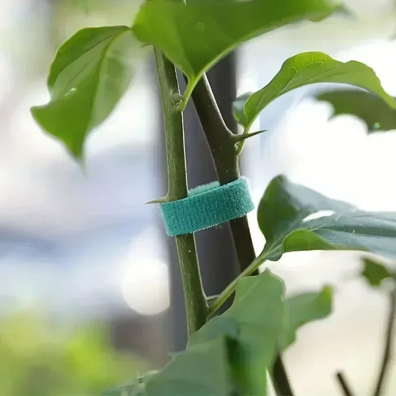 Reusable Adjustable Plant Support Ties for Garden - 10