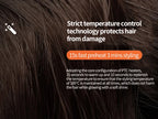 2-in-1 Professional Hair Dryer and Straightener Tool