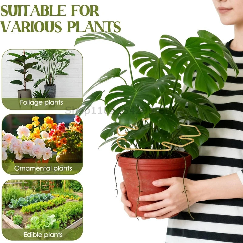 Adjustable Metal Plant Support for Climbing Vines and Stems - 4