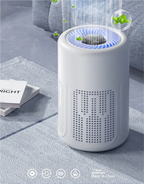 Portable Negative Ion Air Purifier for Home and Office