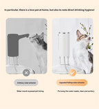 Automatic Rechargeable Electric Water Bottle Pump with Digital Display