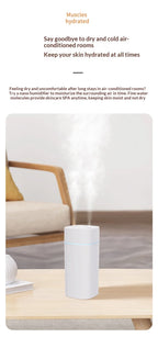 Portable Dual Spray Aromatherapy Desktop Humidifier