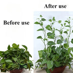 Self-Adhesive Wall Clips for Climbing Plants and Vines