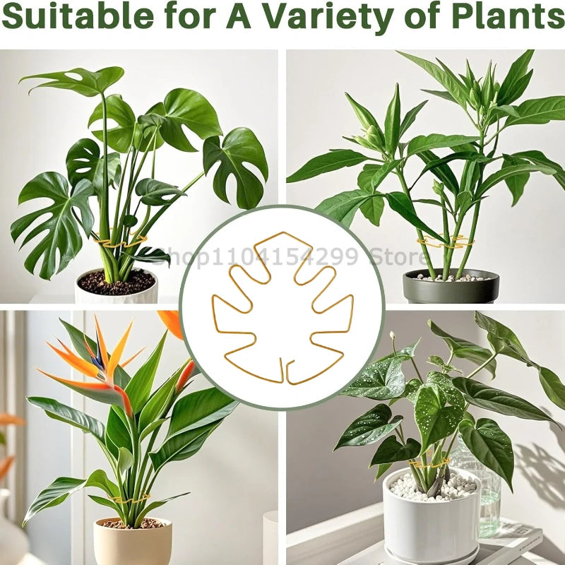 Adjustable Metal Plant Support for Climbing Vines and Stems