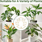 Adjustable Metal Plant Support for Climbing Vines and Stems
