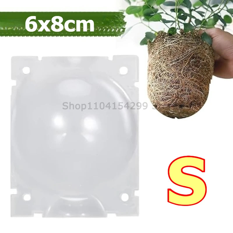 Plant Rooting Propagation Ball Grafting Box