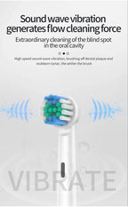Rechargeable Electric Toothbrush with 8 Replacement Heads