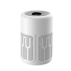 Portable Negative Ion Air Purifier for Home and Office