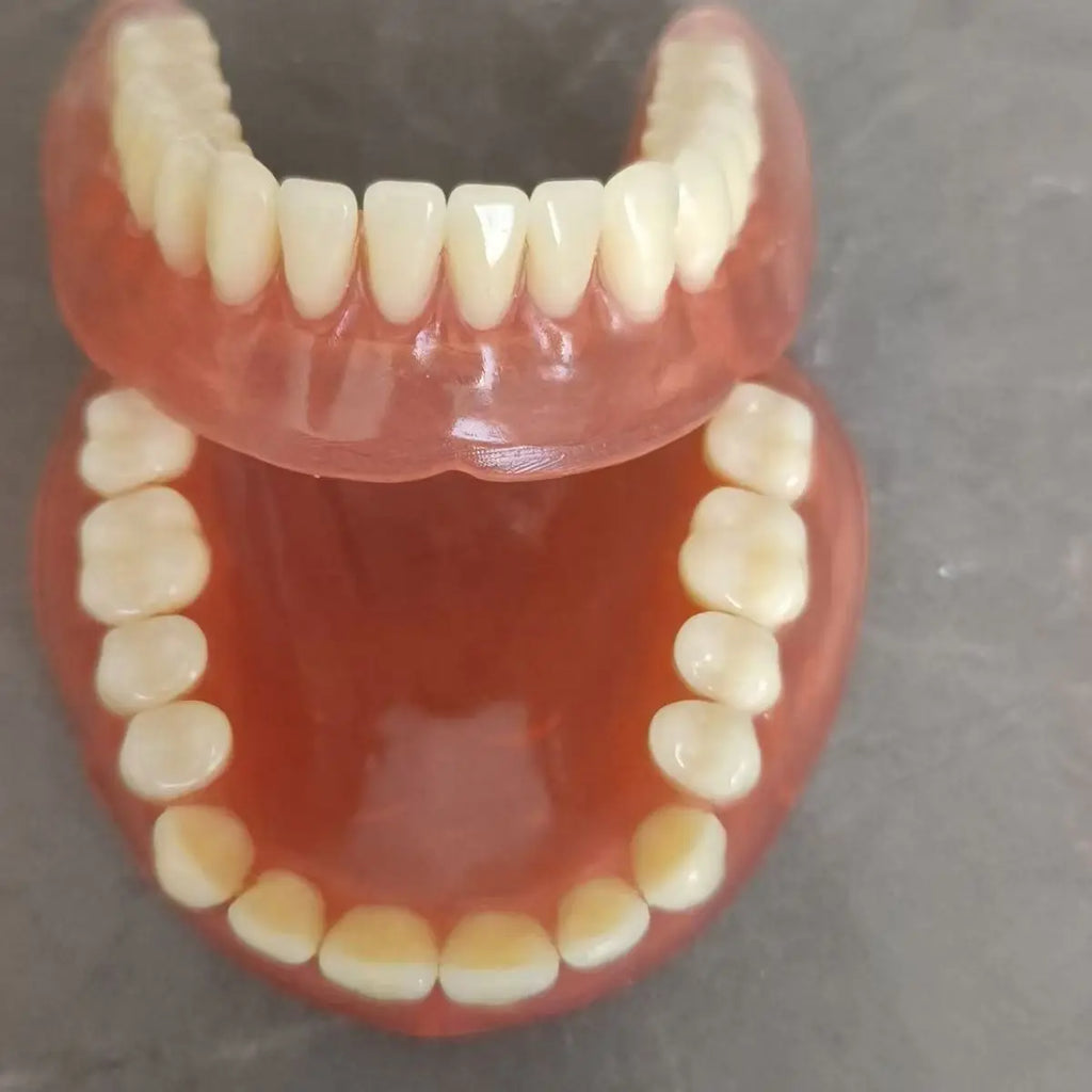Complete Denture Care Set with Storage Case and Cleaning Tools