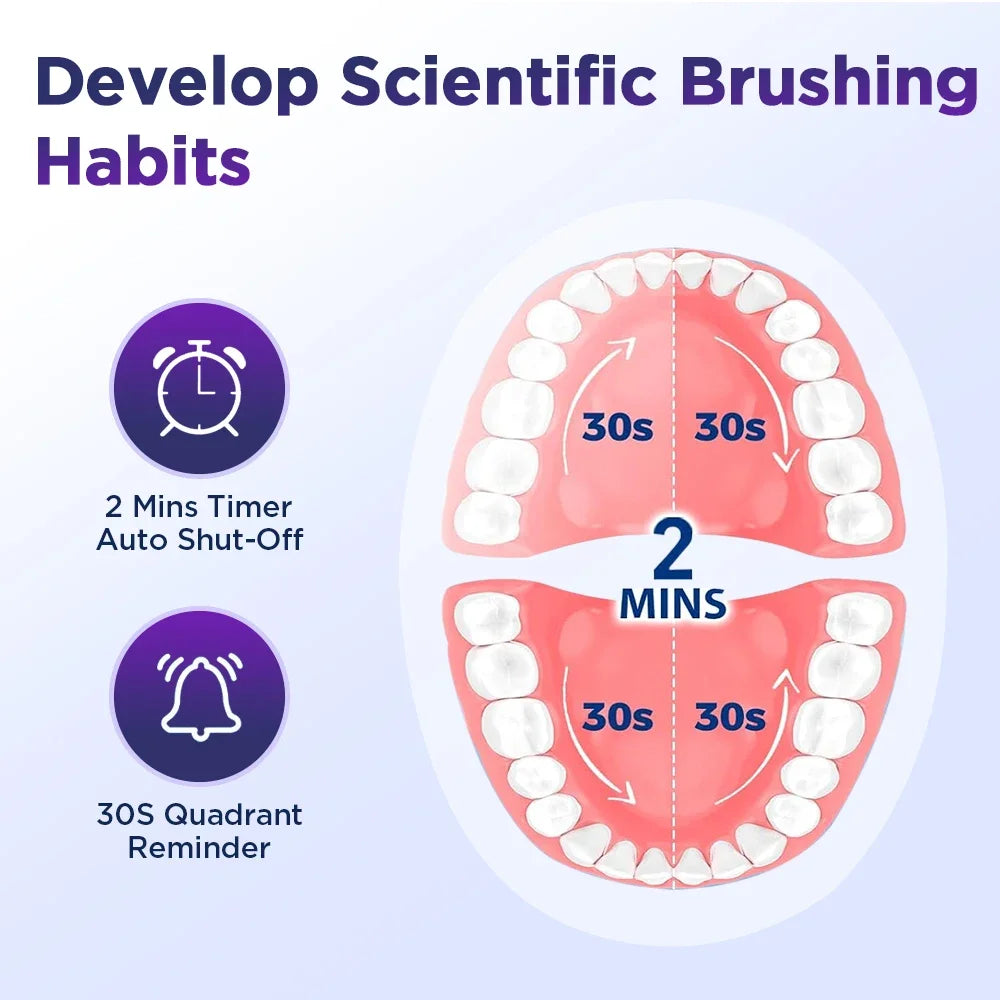 Rechargeable Rotating Electric Toothbrush with 5 Modes