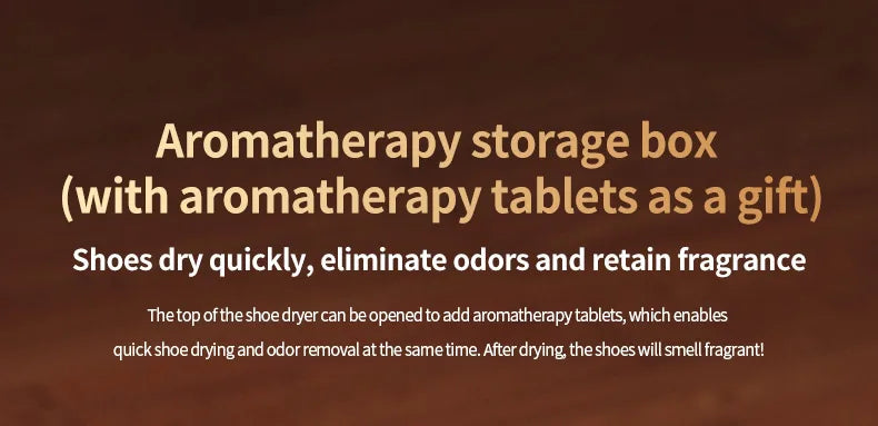 Foldable Electric Shoe Dryer and Deodorizer with Timer
