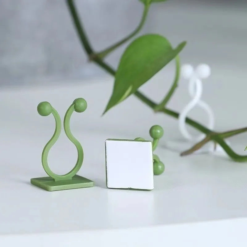 Self-Adhesive Wall Clips for Climbing Plants and Vines