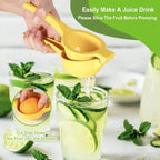 Manual Citrus Lemon and Lime Squeezer Juicer