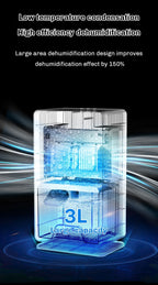 Compact Quiet Electric Dehumidifier for Home and Basement
