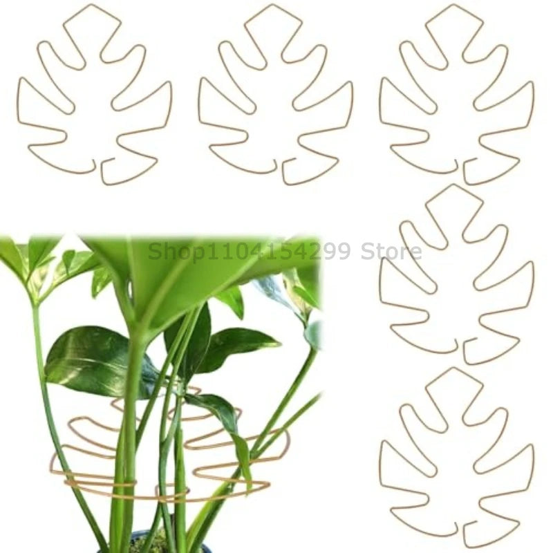 Adjustable Metal Plant Support for Climbing Vines and Stems - 7