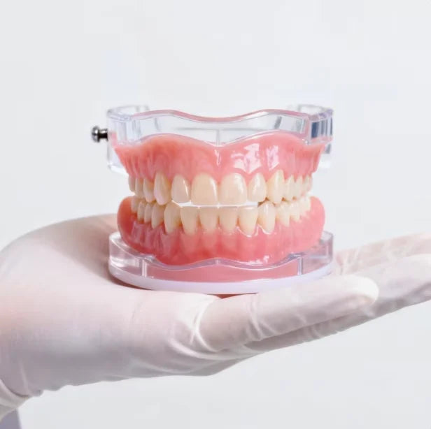 Natural Silicone Dentures for Instant Comfortable Smile