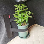 Elastic Car Trunk Organizer Fixing Straps