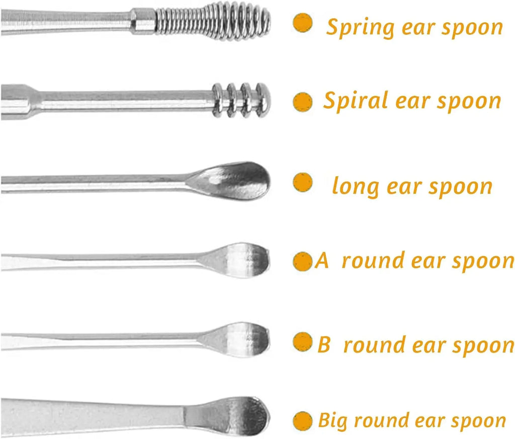 Stainless Steel Ear Wax Removal Tool Kit with Travel Case