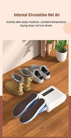 Electric Shoe and Boot Dryer with Deodorizer