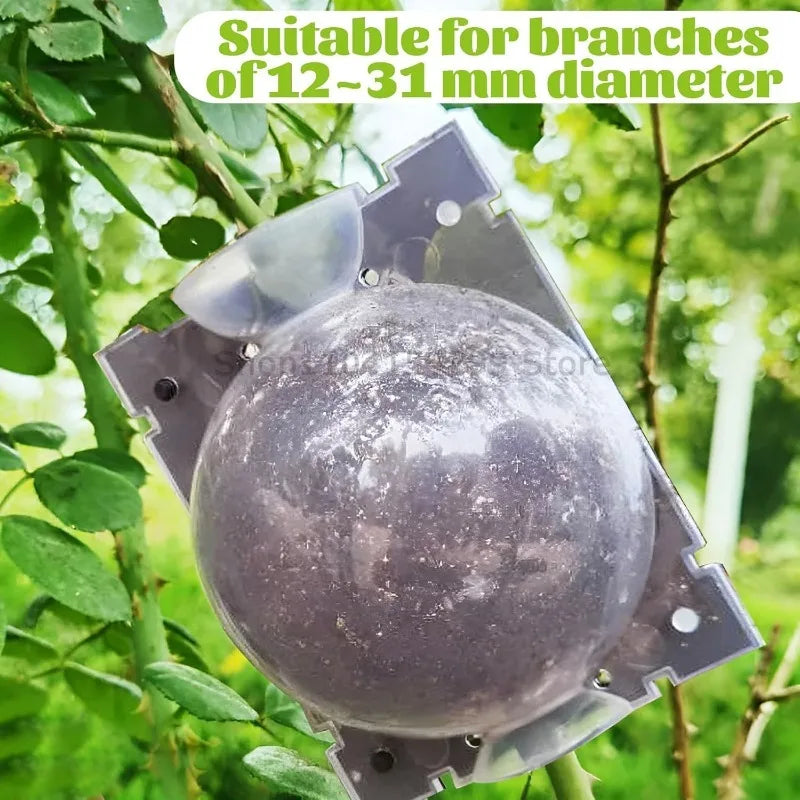 Plant Rooting Propagation Ball Grafting Box - 1