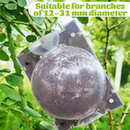 Plant Rooting Propagation Ball Grafting Box