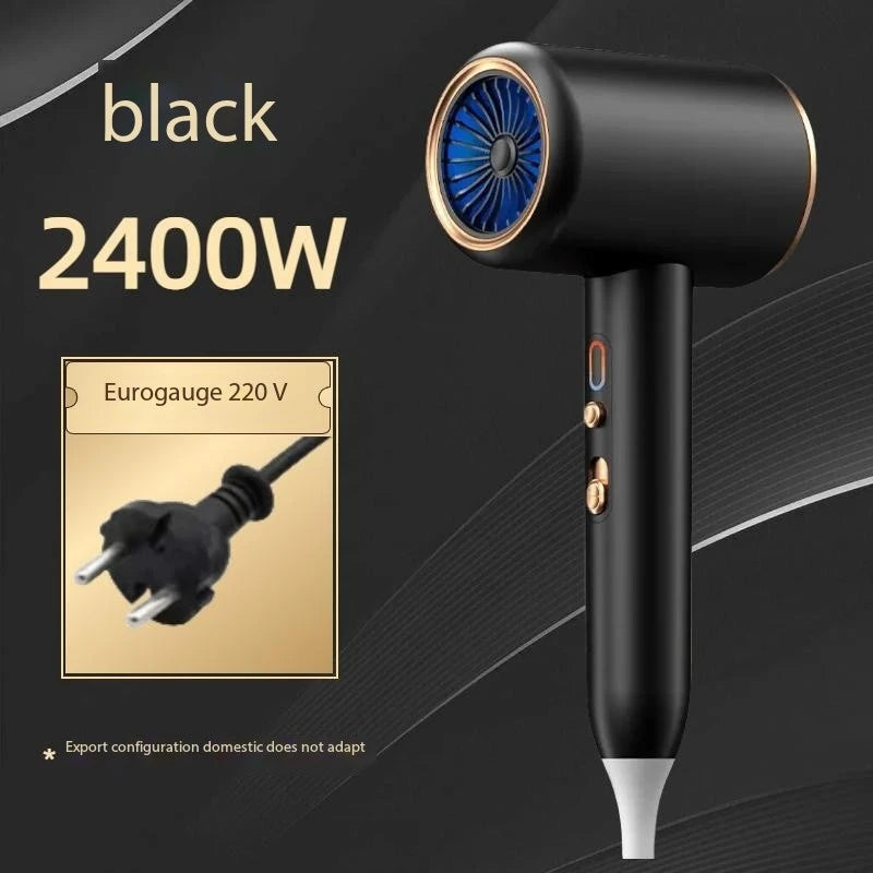 High-Speed Professional Ionic Hair Dryer