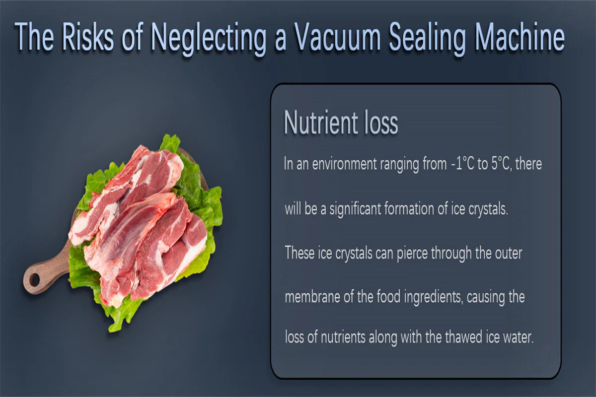 Automatic Food Vacuum Sealer Machine for Fresh Food Storage - 15