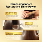 Amino Acid Revitalizing Hair Oil for Frizz Control and Shine
