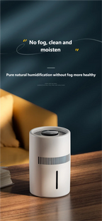 Desktop Humidifier with Quiet Mist for Home and Office