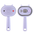 Electric Mist Spray Massage Comb for Hydrating and Detangling Hair