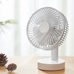 Portable Oscillating Rechargeable Standing Fan