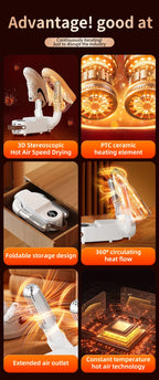 Intelligent Electric Shoe Dryer and Deodorizer