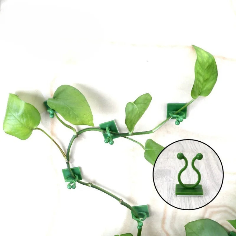 Self-Adhesive Wall Clips for Climbing Plants and Vines
