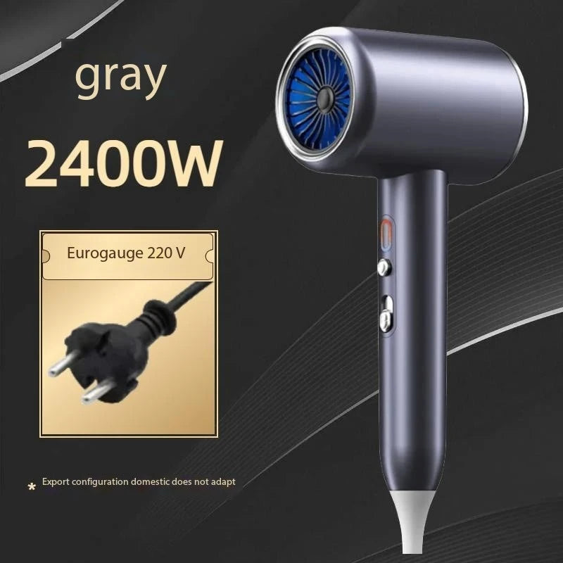 High-Speed Professional Ionic Hair Dryer