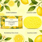 Exfoliating Lemongrass Bath Sponge for Daily Body Cleansing