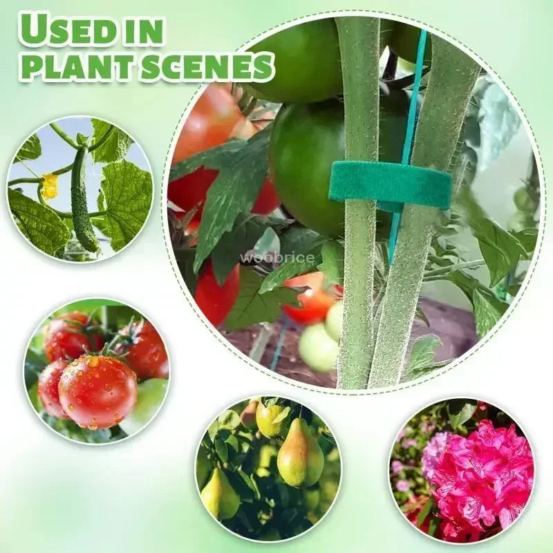 Reusable Adjustable Plant Support Ties for Garden