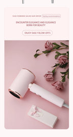 Professional 2000W Ionic Hair Dryer for Fast Styling