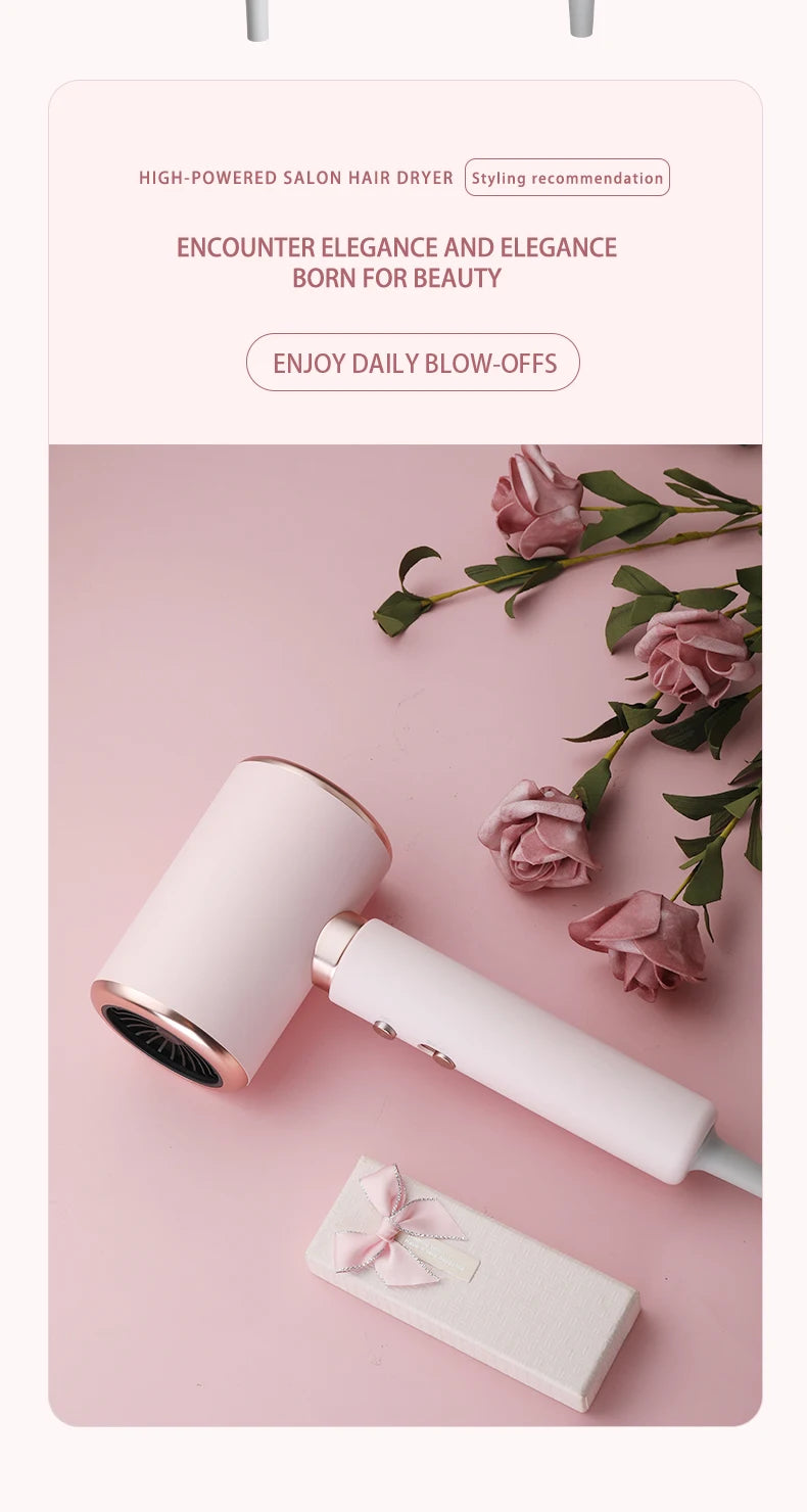 Professional 2000W Ionic Hair Dryer for Fast Styling