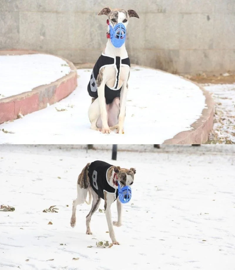 Breathable Lightweight Dog Muzzle for Safe Training - 10
