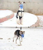 Breathable Lightweight Dog Muzzle for Safe Training