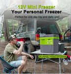 Portable 20L Electric Cooling and Heating Fridge for Travel