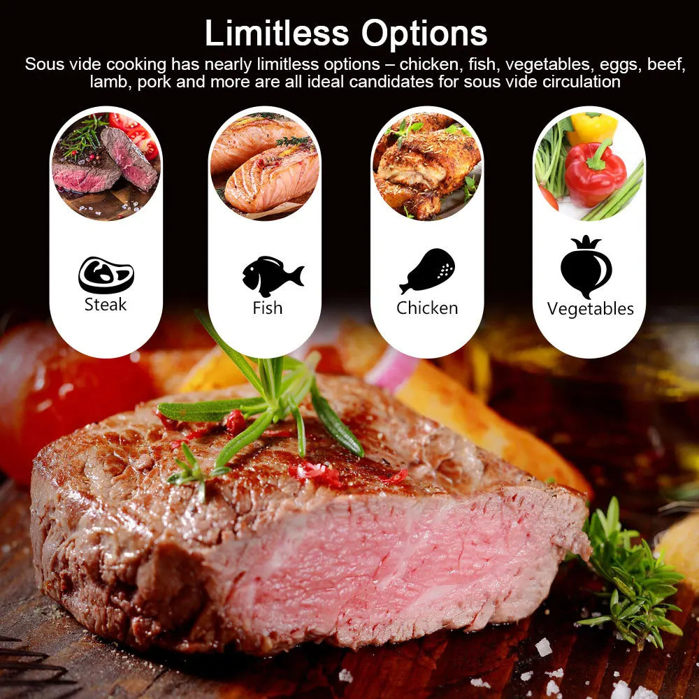 Digital Sous Vide Immersion Cooker for Precision Cooking