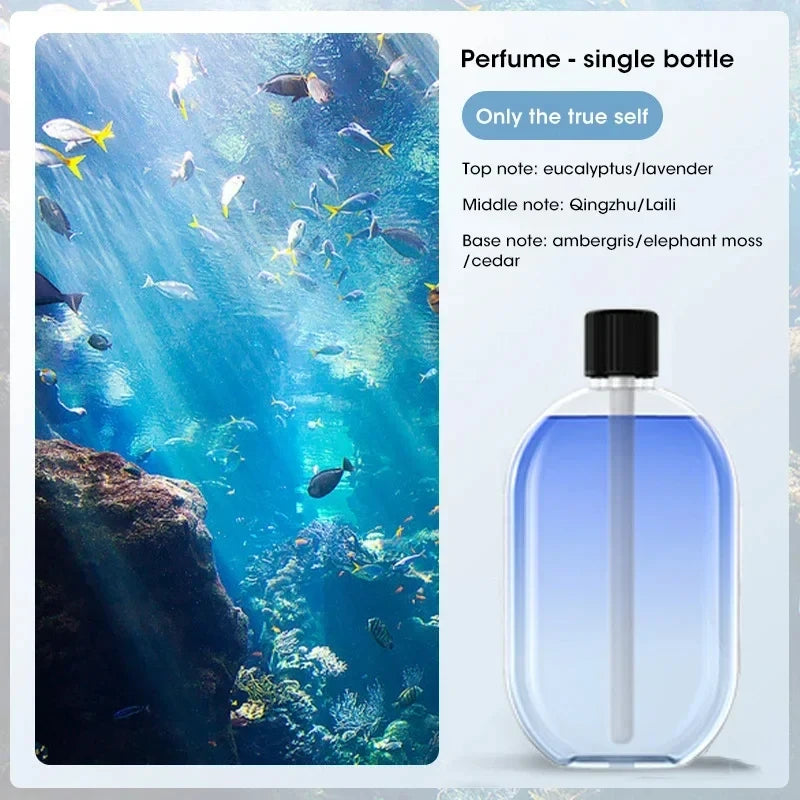 Automatic Essential Oil Scent Diffuser for Home Fragrance