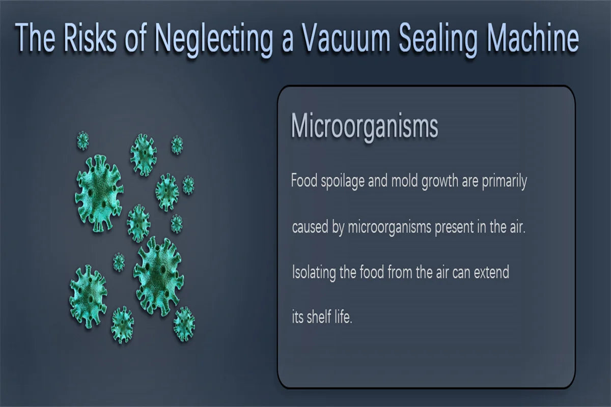 Automatic Food Vacuum Sealer Machine for Fresh Food Storage - 17